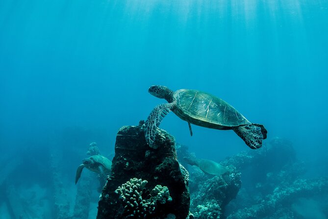 Maui Snorkeling Boat Tour to Turtle Town Aboard Quicksilver - McGregor Point Light and the return to Ma‘alaea