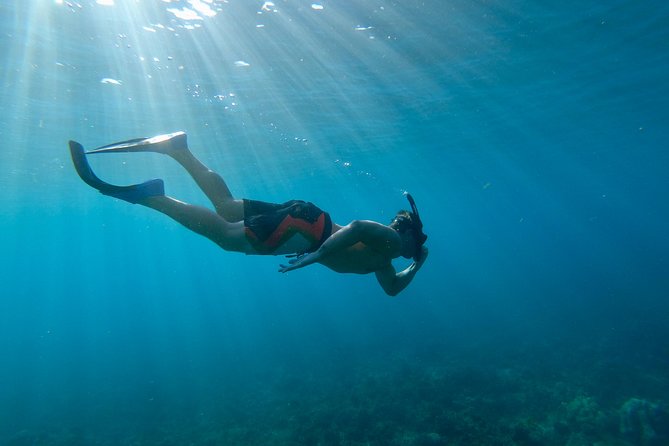 Maui Snorkeling Boat Tour to Turtle Town Aboard Quicksilver - What lunch and drinks are really like
