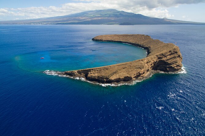 Maui South Coast and Molokini Crater Adventure from Kihei - Turtle Town is the best stop for many families