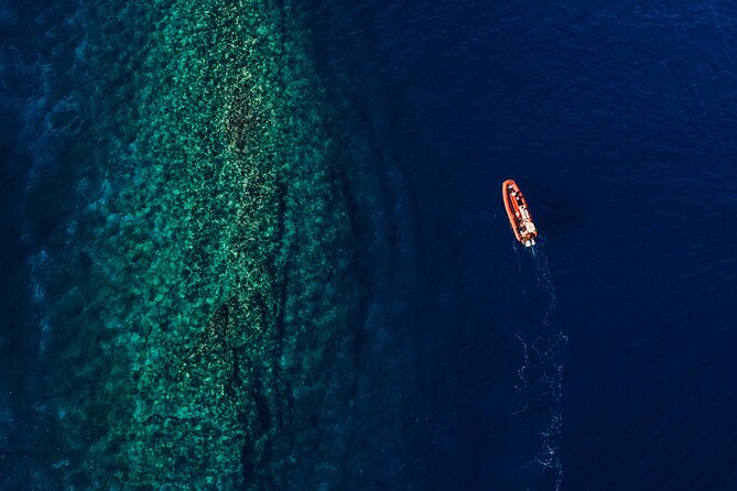 Maui South Coast and Molokini Crater Adventure from Kihei - The crew sets the tone