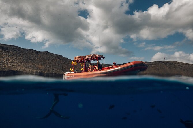 Maui South Coast and Molokini Crater Adventure from Kihei - Molokini Crater offers the clearest water