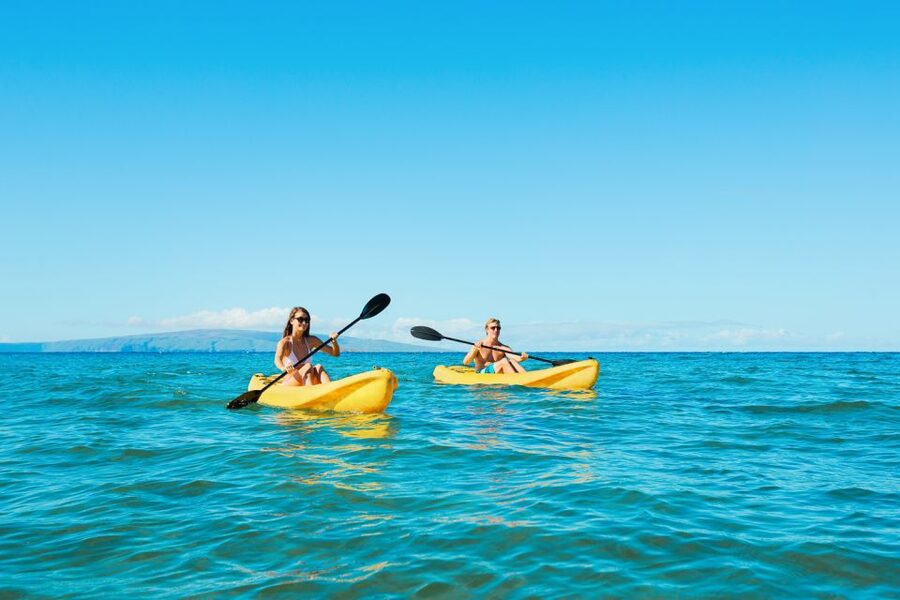 Maui: Turtle Town Kayak and Snorkel Tour - Quick take: what matters most