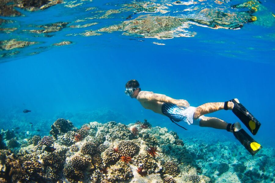 Maui: Turtle Town Kayak and Snorkel Tour - Kayaking roughly 1.5 miles across Makena Bay