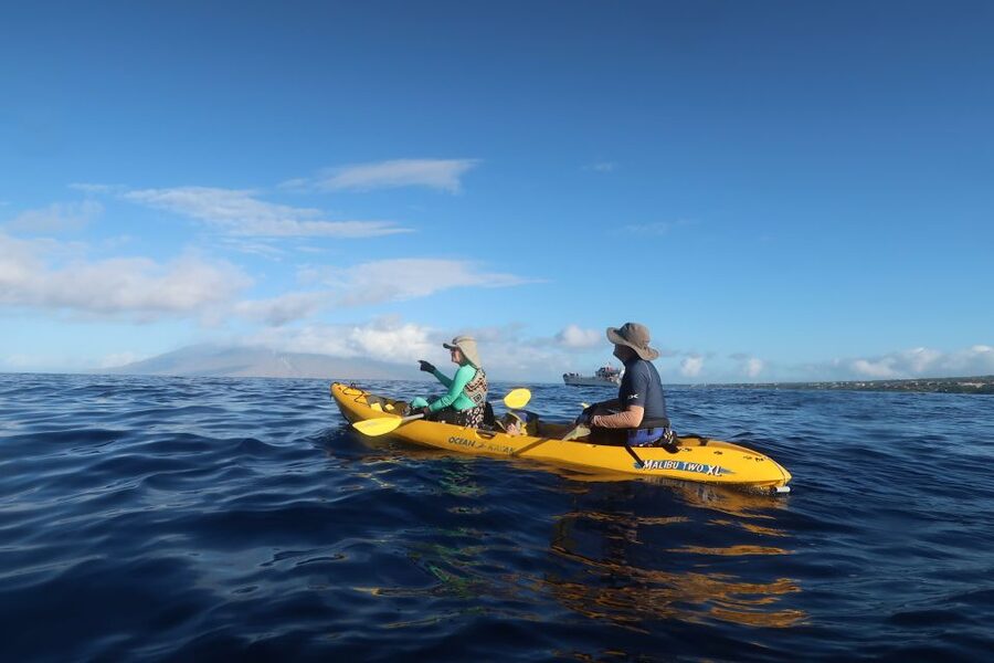 Maui: Turtle Town Kayak and Snorkel Tour - Why the 7:15 AM departure is the smart pick