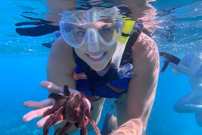 Maui: Turtle Town Snorkel with Photo and Video - Photos and Raw Video From the Water