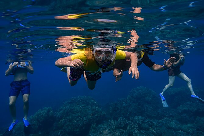 Maui: Turtle Town Snorkel with Photo and Video - Weather, Location Changes, and Cancellation