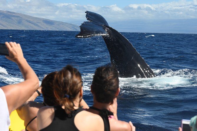 Maui: Ultimate Whale Watch from Lahaina - Crew members who make the difference