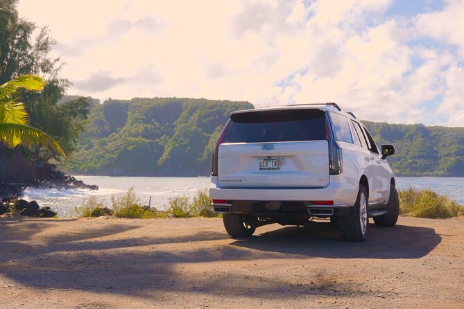Maui: VIP Private Road to Hana Tour with Pick Up - Hana town gives the long drive a purpose
