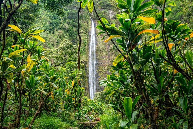 Maui: VIP Private Road to Hana Tour with Pick Up - Koki Beach and Venus Pool require judgment
