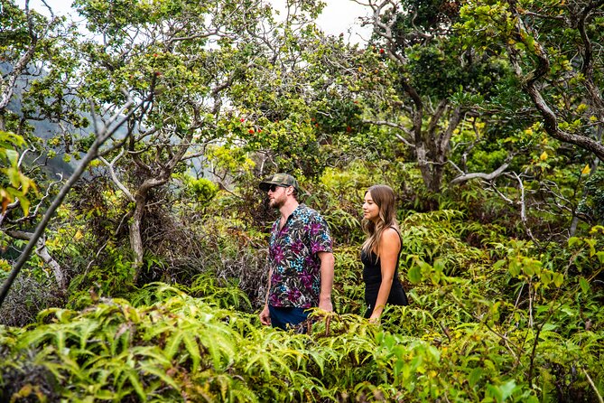 Maui: VIP Private Road to Hana Tour with Pick Up - Wailua Falls is easy to see, but not always quiet