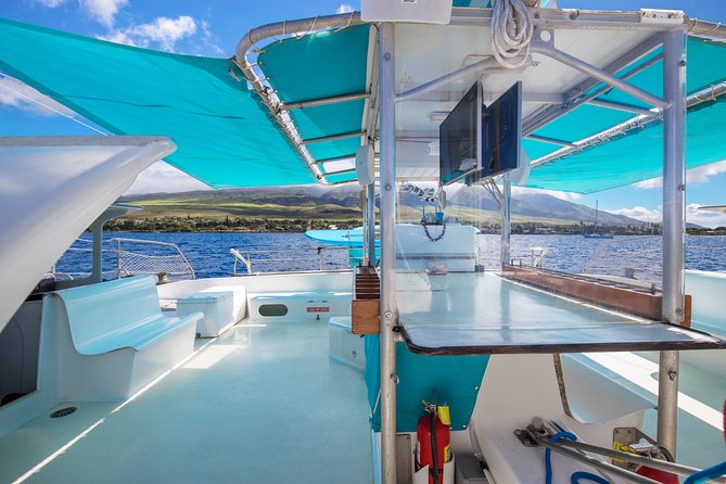 Maui: Whale Watching Cruise with Open Bar from Ka'anapali Beach - Price and overall value at $115.85