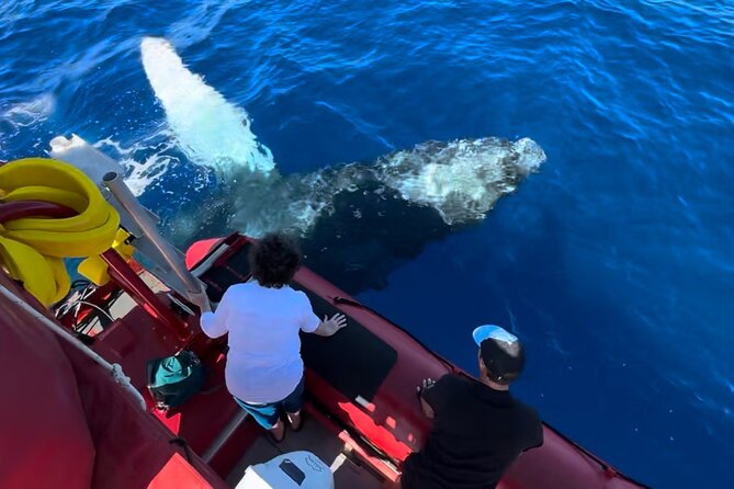 Maui Whale-Watching Tour by Raft from Kihei - What the 90-minute raft ride feels like
