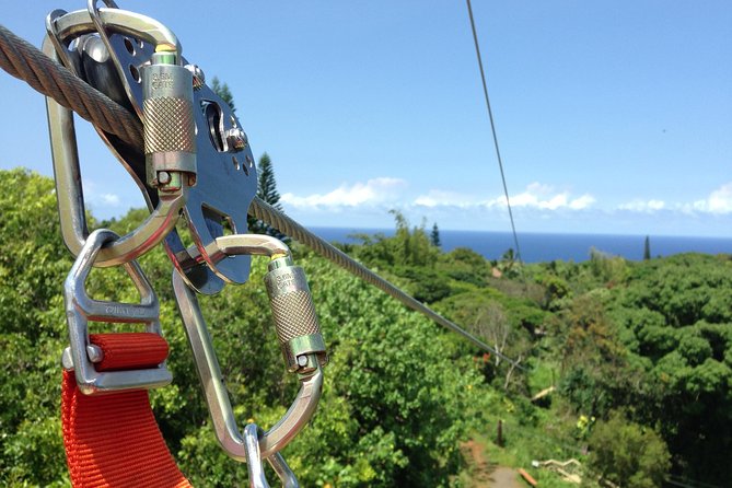 Maui Zipline Eco Adventure: 8 Lines through the Jungle - Three tree platforms and a tropical setting