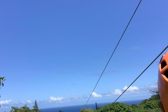Maui Zipline Eco Adventure: 8 Lines through the Jungle - Who will enjoy this most