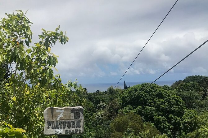 Maui Zipline Eco Adventure: 8 Lines through the Jungle - The first lines: a gentle start for beginners