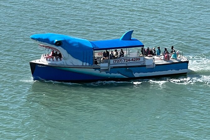 Mega Bite Dolphin Tour Boat in Clearwater Beach - Key Points To Know Before You Sail