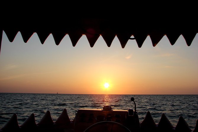 Mega Bite Dolphin Tour Boat in Clearwater Beach - Is $28 A Good Price?