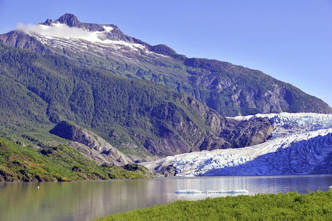 Mendenhall Glacier Trolley Tour - Key Things To Know Before You Go