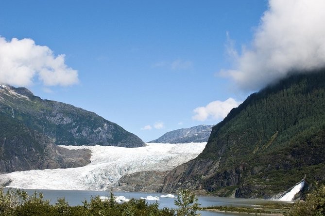 Mendenhall Glacier Trolley Tour - Why This Tour Works Well on a Juneau Cruise Stop