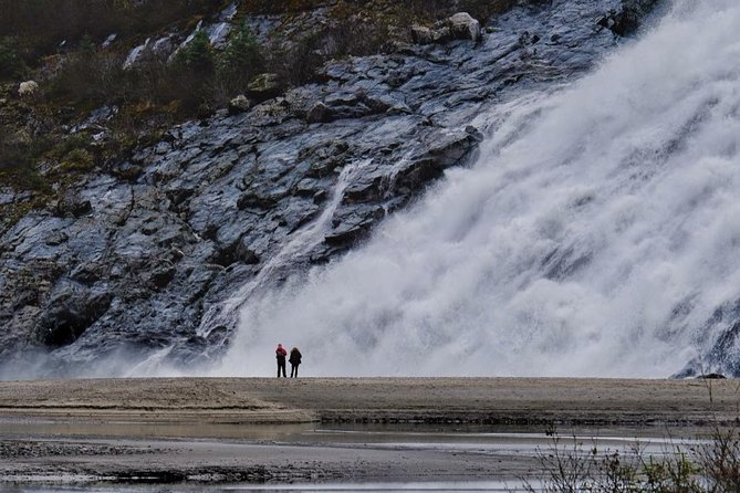 Mendenhall Glacier Trolley Tour - What $79 Buys You