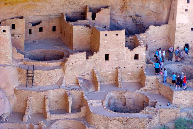 Mesa Verde National Park Half Day Tour - The main strengths, and the honest tradeoffs
