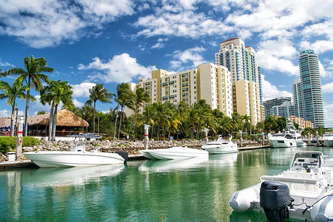 Miami and Everglades Adventure: Airboat & Bay Cruise Combo - Meeting at the Holiday Inn Port of Miami