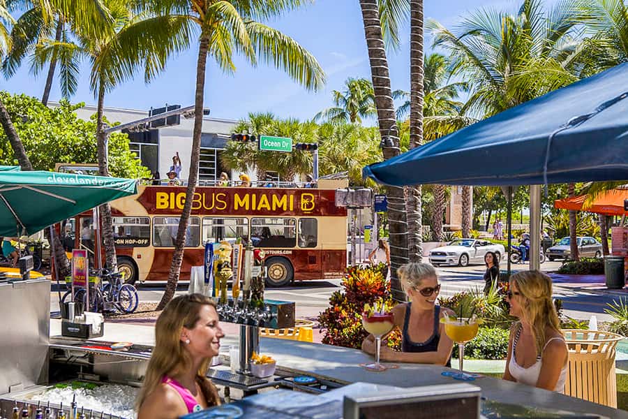 Miami: Everglades Experience, Bay Cruise & Open-Top Bus Tour - Key points to know before booking