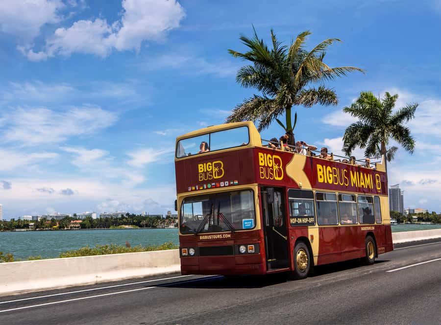 Miami: Everglades Experience, Bay Cruise & Open-Top Bus Tour - FAQ