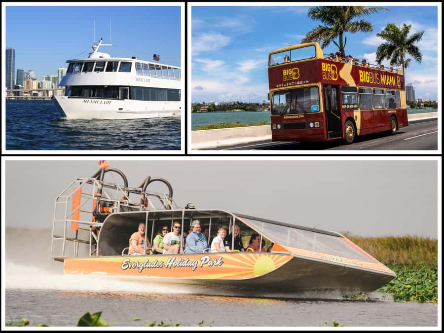 Miami: Everglades Experience, Bay Cruise & Open-Top Bus Tour - The Everglades: airboat, wildlife, and a baby alligator