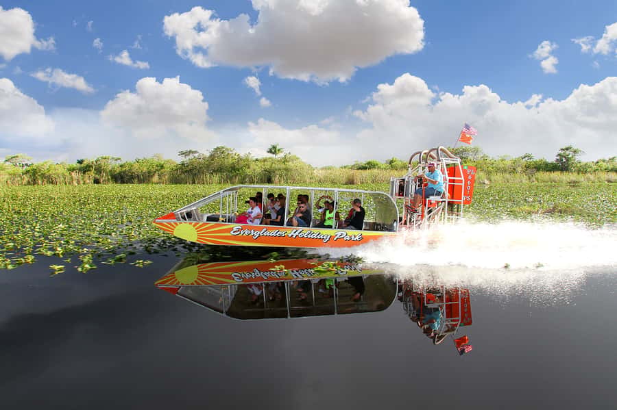 Miami: Everglades Experience, Bay Cruise & Open-Top Bus Tour - Biscayne Bay and Millionaire’s Row