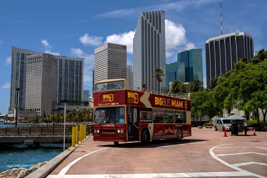 Miami: Everglades Experience, Bay Cruise & Open-Top Bus Tour - Who gets the most from this package?