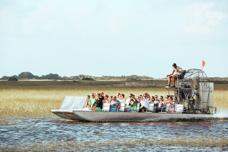 Miami: Everglades National Park Airboat Tour & Wildlife Show - Wildlife sightings and the gator show