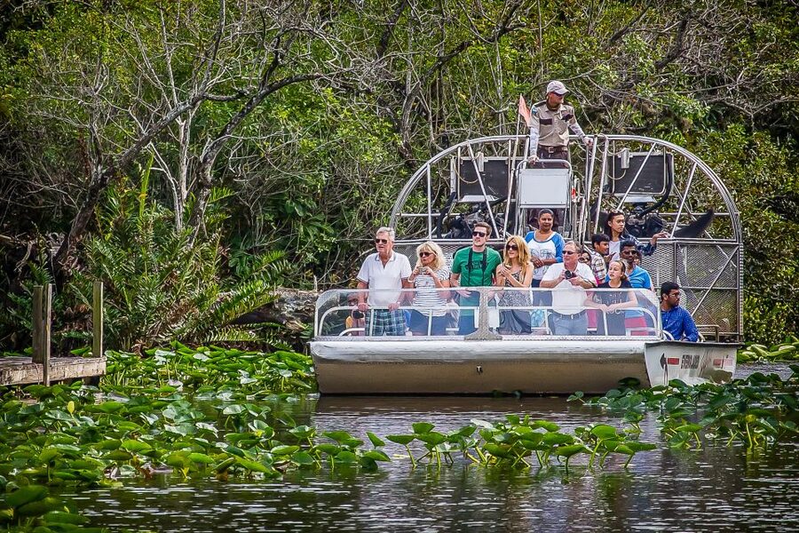 Miami: Everglades Safari Park Airboat Tour - The Wildlife Nature Show after the boat