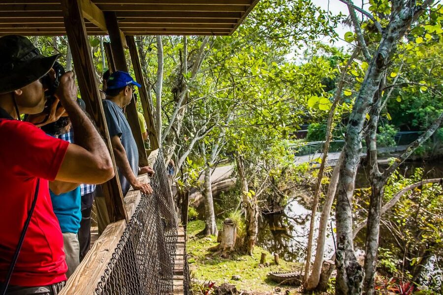 Miami: Everglades Safari Park Airboat Tour - Who will enjoy this Everglades outing most