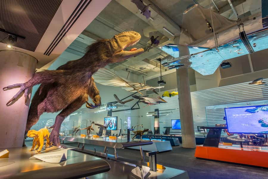 Miami: Frost Museum of Science and Planetarium Entry Ticket - Frost Science highlights at a glance