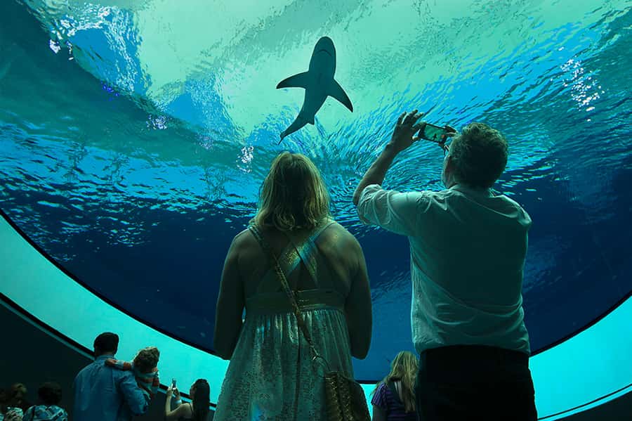 Miami: Frost Museum of Science and Planetarium Entry Ticket - What the $30 Frost Science ticket includes