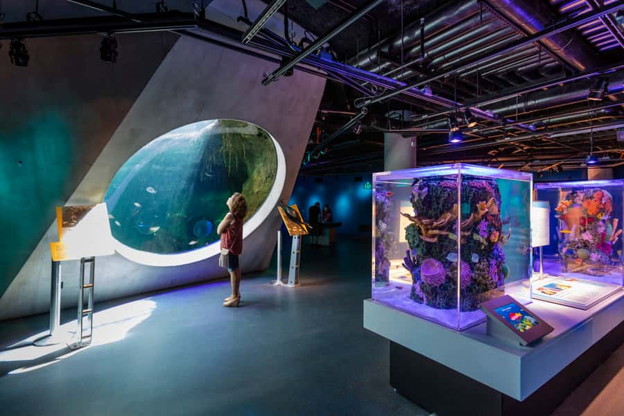 Miami: Frost Museum of Science and Planetarium Entry Ticket - How long you need inside