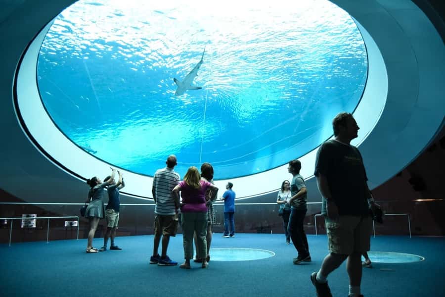 Miami: Frost Museum of Science and Planetarium Entry Ticket - Who will get the most from this visit