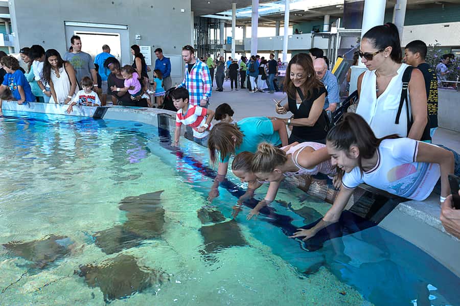 Miami: Frost Museum of Science and Planetarium Entry Ticket - Practical tips for a smoother visit