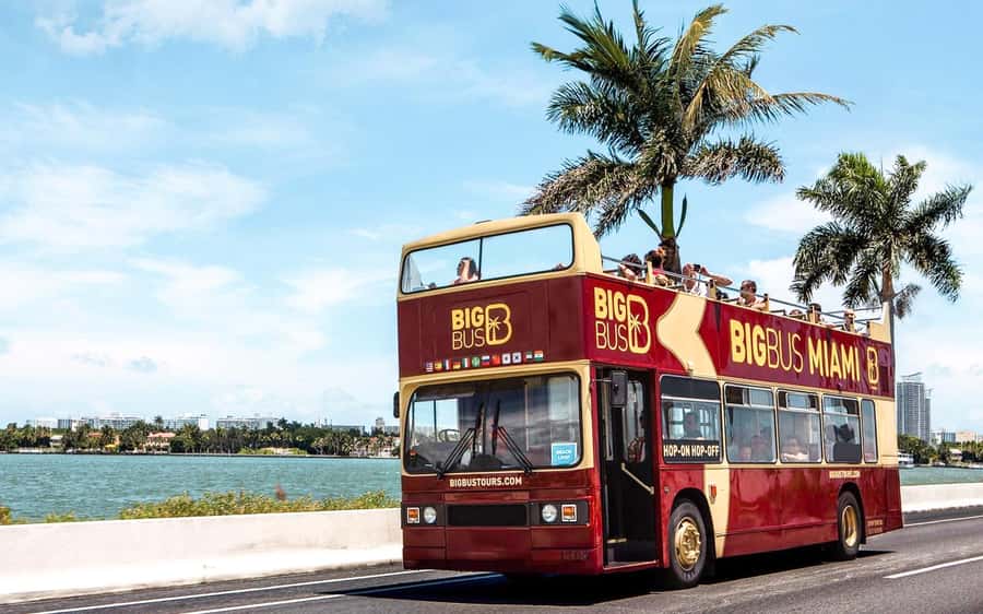 Miami: Hop-on Hop-off Open-top Bus Tour and Optional Cruise - What the $45 ticket really buys you