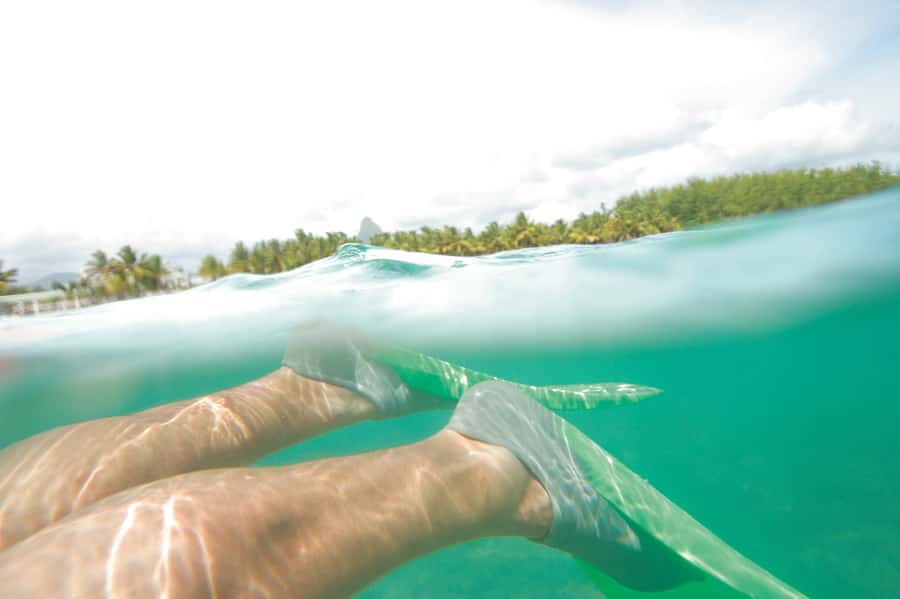 Miami: Key West Dolphin Watch or Snorkel Boat with pickup - Who should choose this day trip