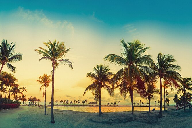 Miami: Open-top Bus Sightseeing Night Tour with Live Guide - Starting at Bayside Marketplace