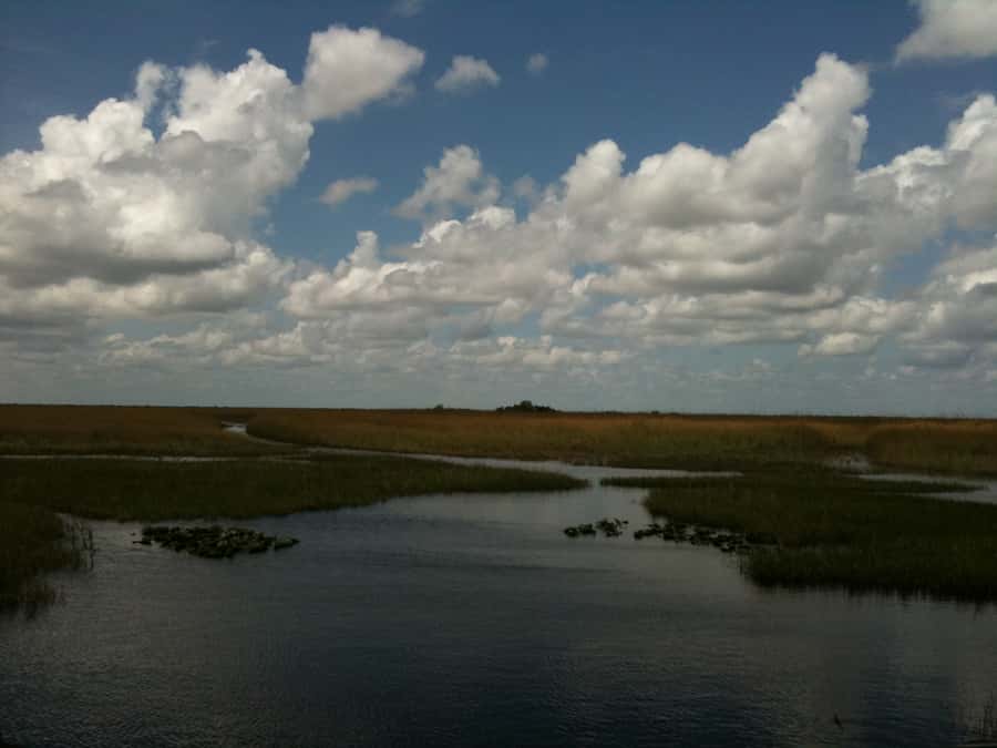 Miami: Original Everglades Airboat Tour & Interpretive area - Crossing the River of Grass by airboat