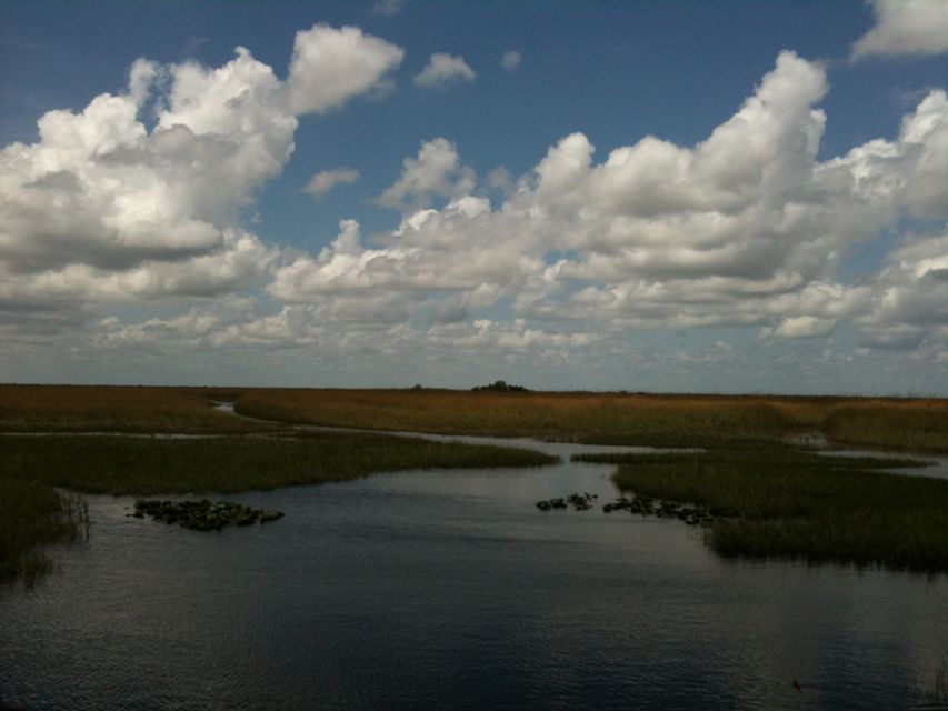 Miami: Original Everglades Airboat Tour & Interpretive area - Food, facilities, and the limits of the stop