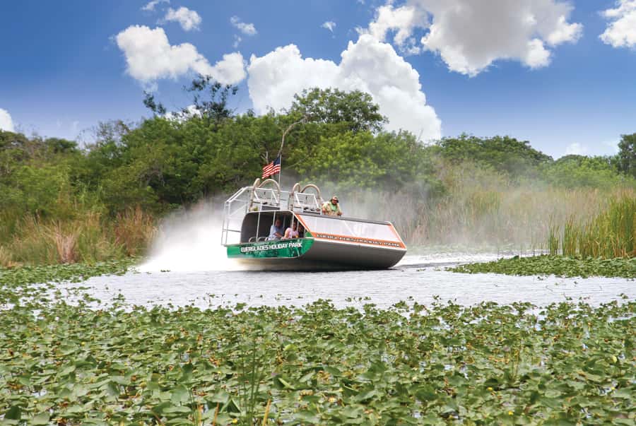 Miami: Wild Everglades Airboat Ride and Gator Encounters - Key points to know before you go