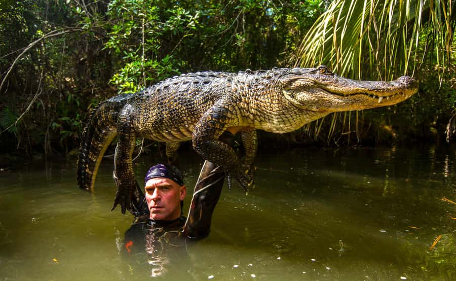 Miami: Wild Everglades Airboat Ride and Gator Encounters - Should you book this airboat tour?