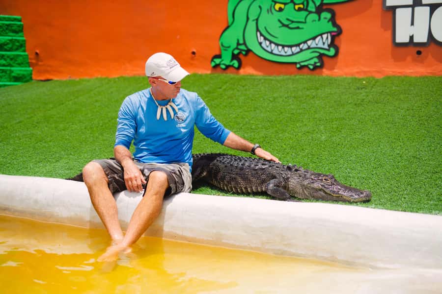 Miami: Wild Everglades Airboat Ride and Gator Encounters - The first view of Everglades Holiday Park