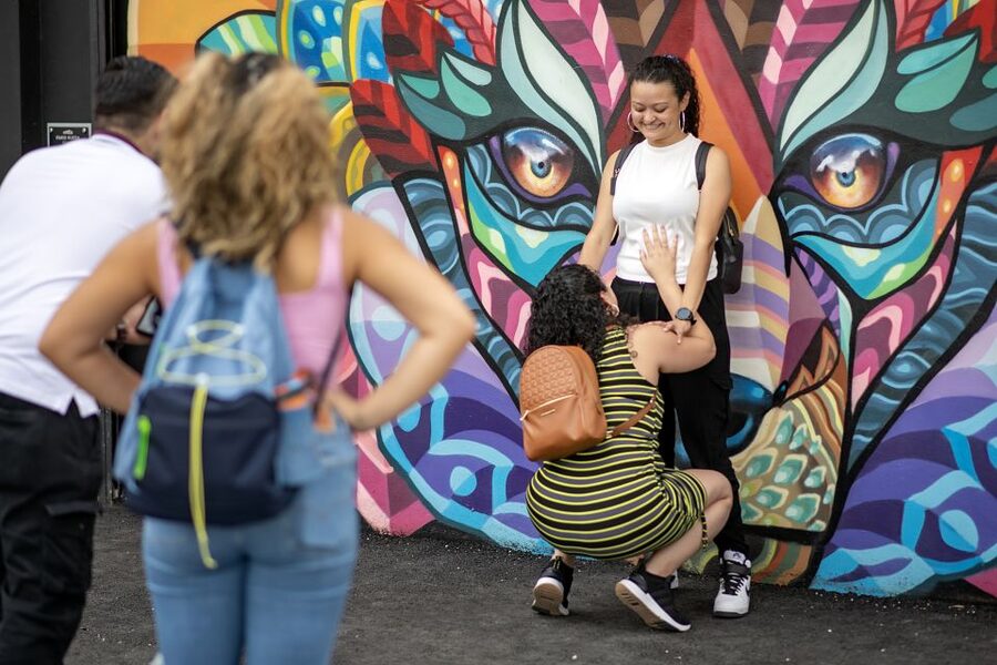 Miami: Wynwood Walls Skip-the-Line Ticket - Artist Solo Exhibition