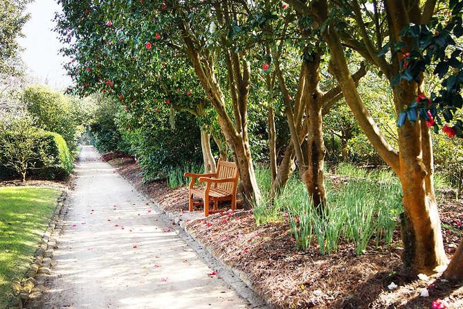 Middleton Place Admission with Self Guided Tour and Lunch - Stable Yards with heritage breeds
