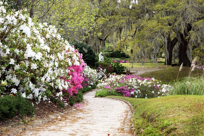Middleton Place Admission with Self Guided Tour and Lunch - Chapel, shop, and garden market